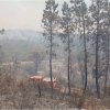 Feu de Forêts 2017-2