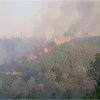 Feu de Forêts 2017-3