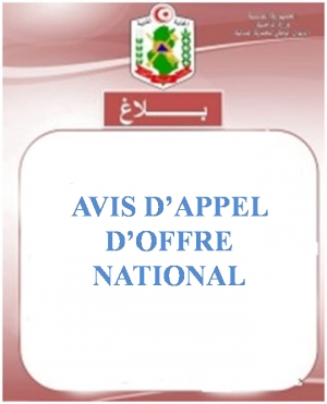 AVIS D’APPEL D’OFFRE NATIONAL N° 04/2024