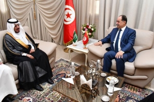 إستقبال السيد وزير الداخلية للسيد المدير العام للدفاع المدني السعودي