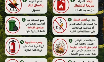 لحماية غاباتنا..